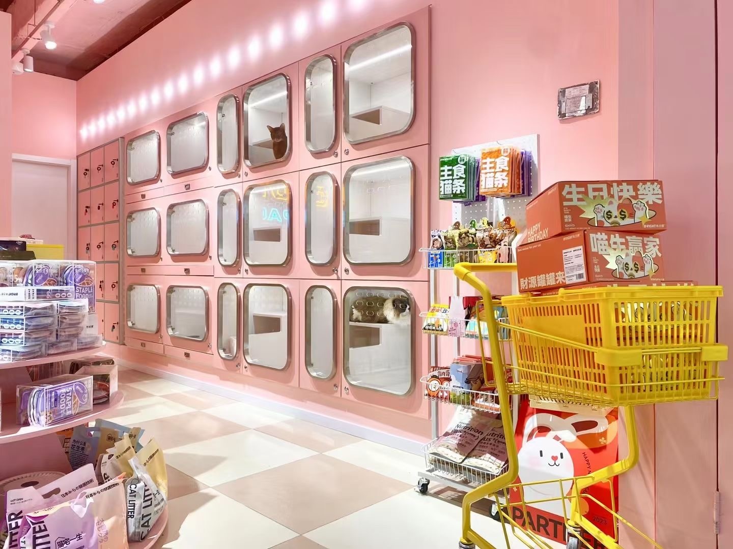 杭州寵物店裝修設(shè)計(jì)：洗護(hù)區(qū)與寄養(yǎng)空間規(guī)劃及氣味管理實(shí)戰(zhàn)